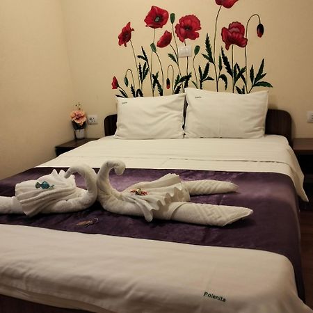 Vila Poienita Caciulata Călimăneşti 외부 사진