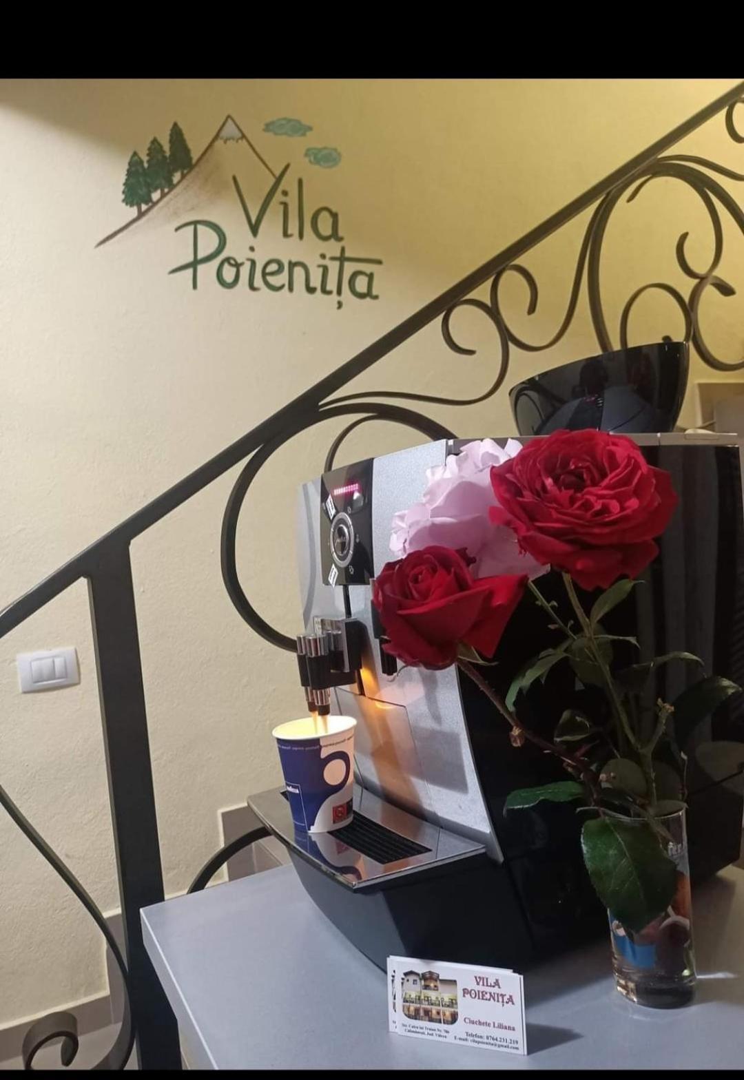 Vila Poienita Caciulata Călimăneşti 외부 사진